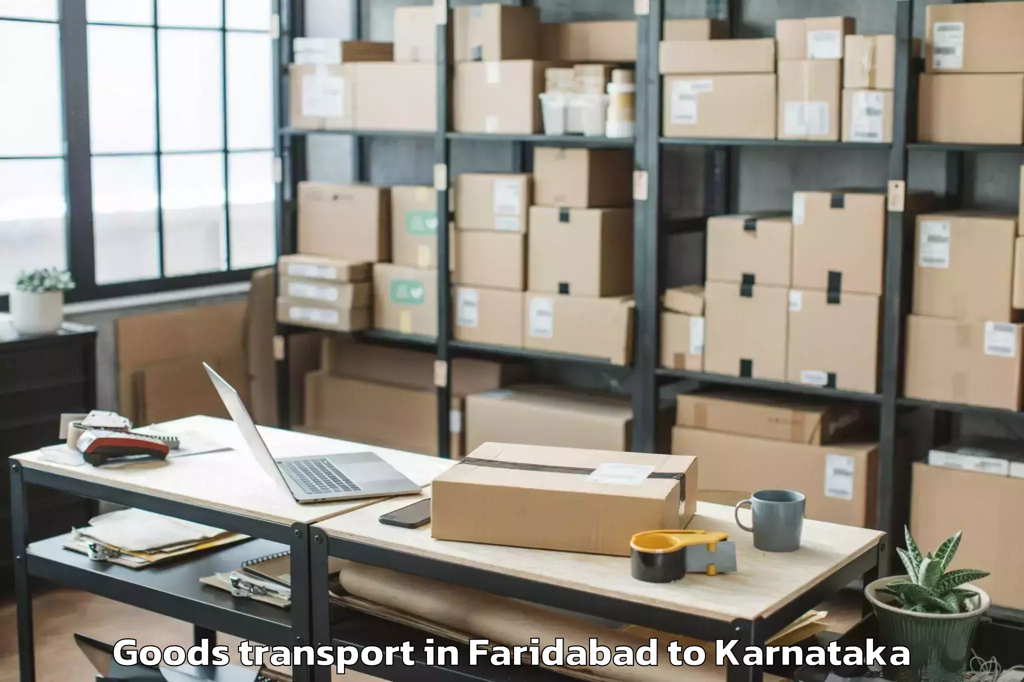 Book Faridabad to Emmiganur Goods Transport Online